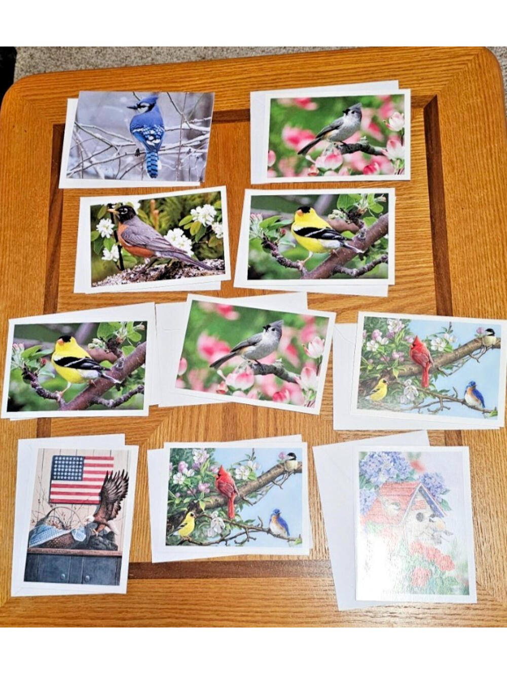 New Lot of 10    Cards  with  Birds & Envelopes